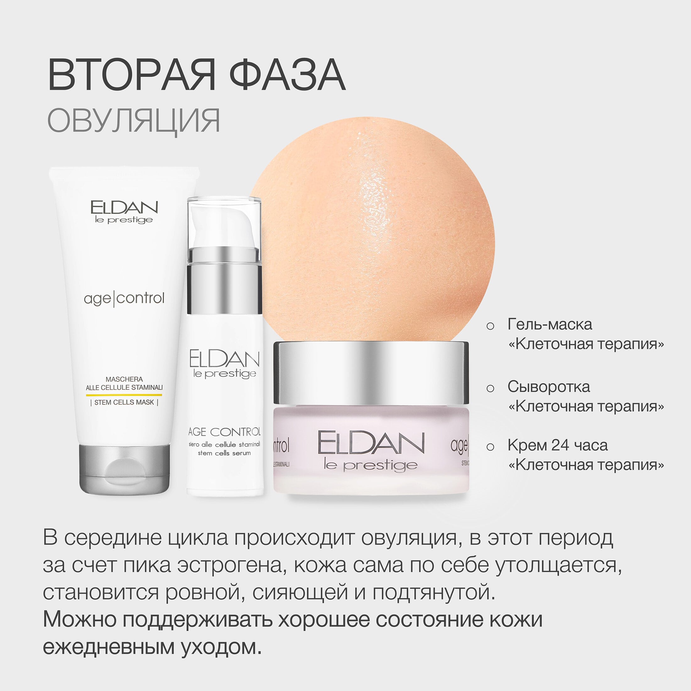 Пост цикл кожа 5.jpg Пост цикл кожа 5.jpg